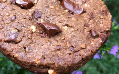 Avena Choco Chip