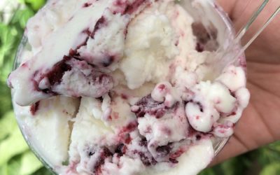 Yogurt con Frutas del bosque