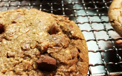 Avena Chocochip