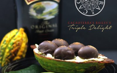 Cacaoterra’s Baileys Triple Delight