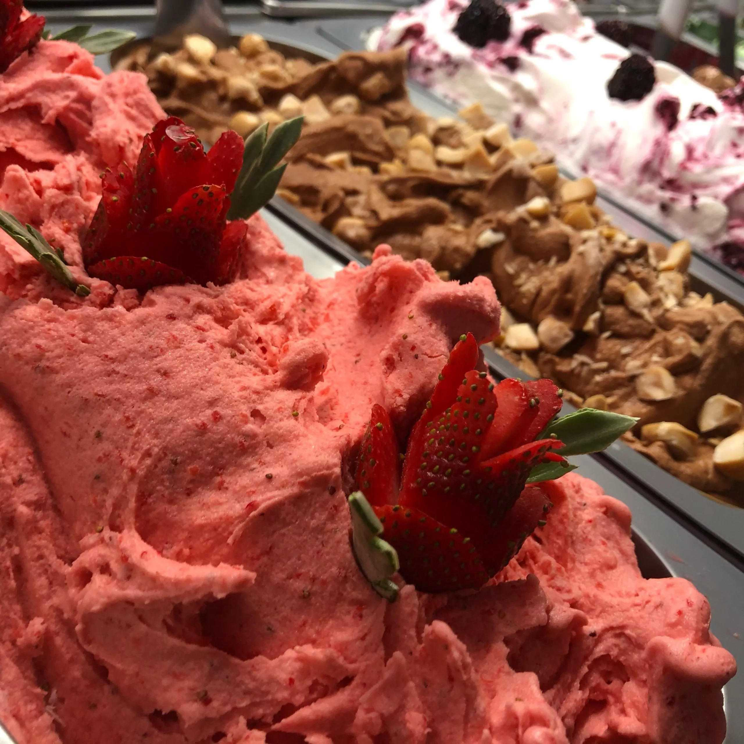 Gelato