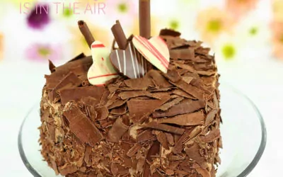 Chocolate Mousse cake