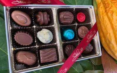 Truffle & Bonbons
