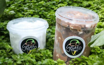 Gelato Romano to go!