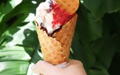 Yogurt Frutas del Bosque y Mora Lampone